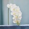 12-Pack: Real Touch White Phalaenopsis Orchid Stem, Floral Home by Artificial Flowers
